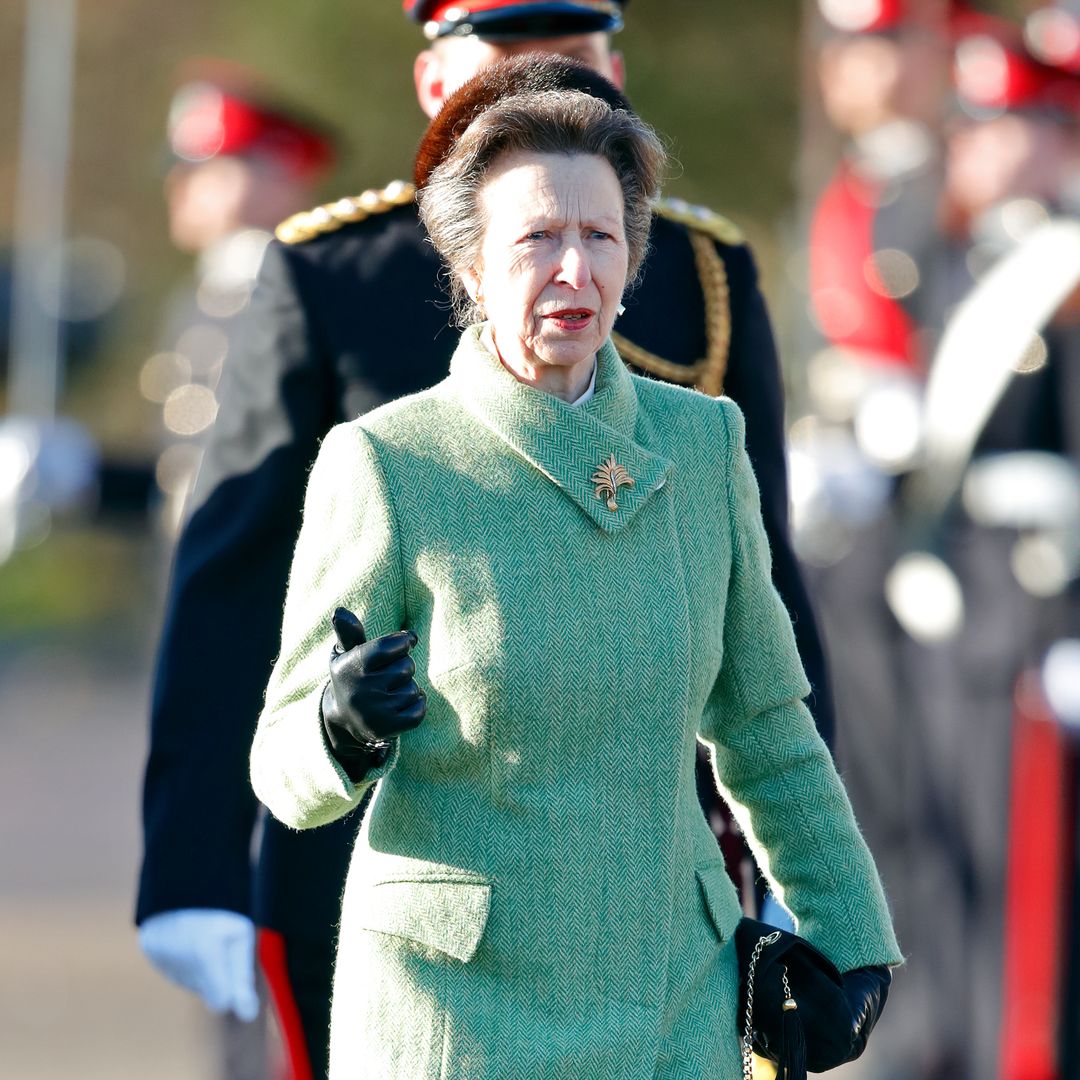 Princess Anne quietly returns to work amid Prince Andrew drama