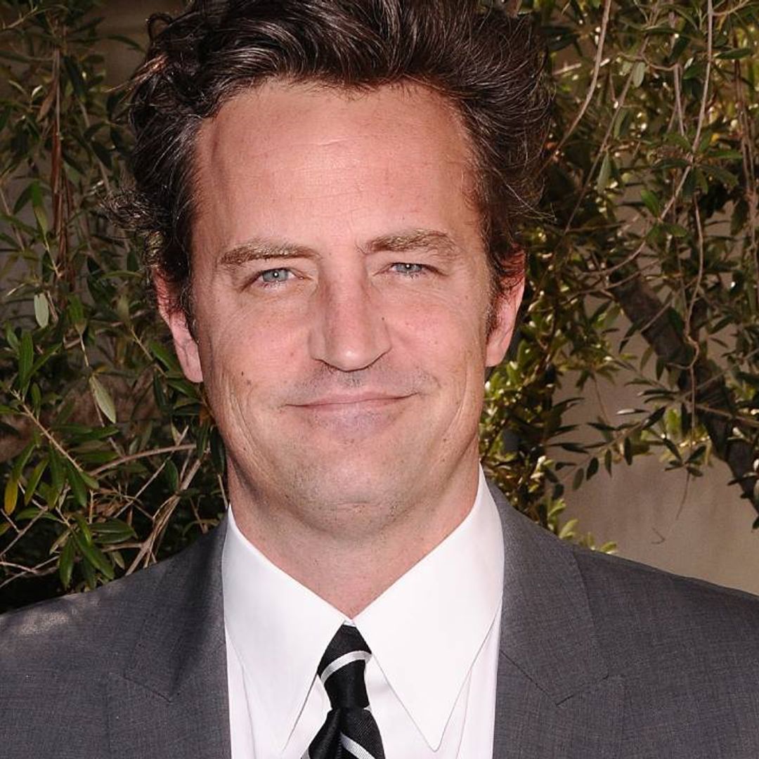 Matthew Perry delights fans after introducing them to his adorable family member