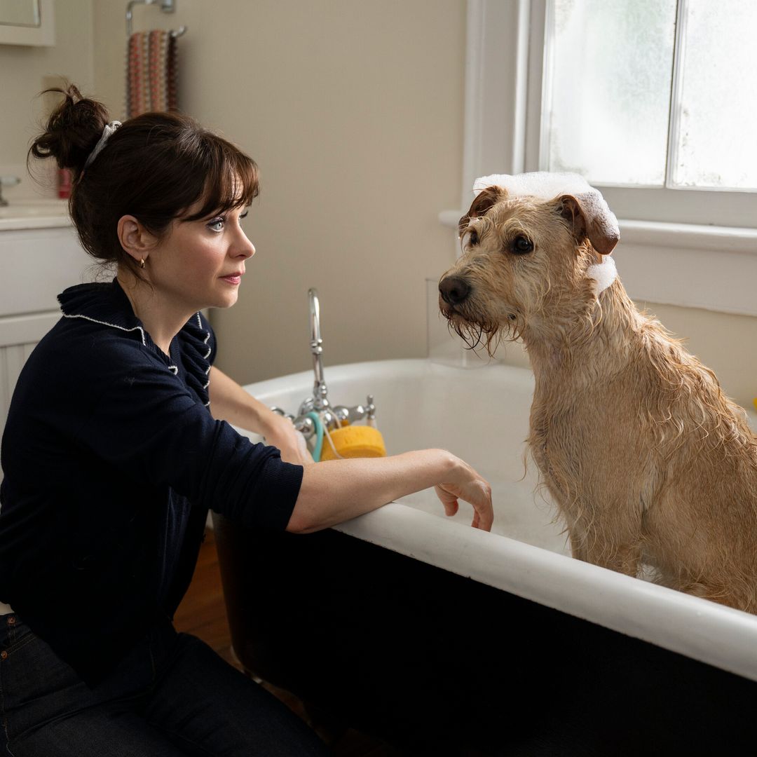 Light-hearted rom-com hailed as 'absolute delight' is the perfect holiday watch