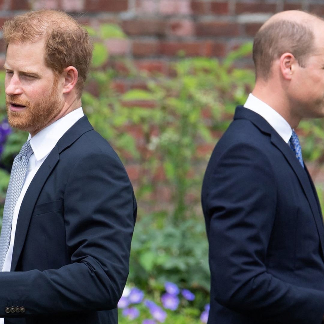 Prince Harry alleges physical fight with Prince William in leaked Spare extract