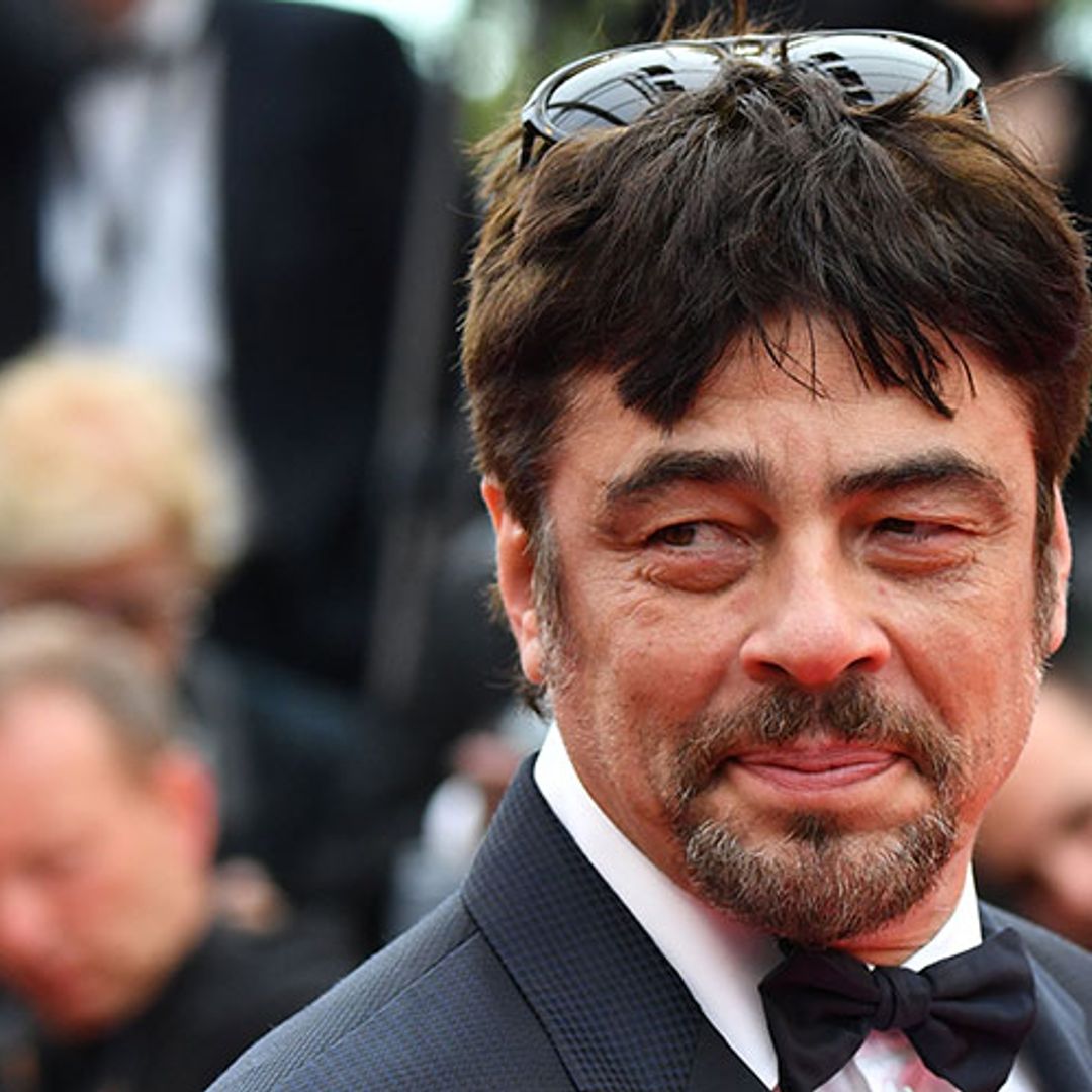 Does Benicio del Toro have a wife? All you need to know about the Puerto Rican actor