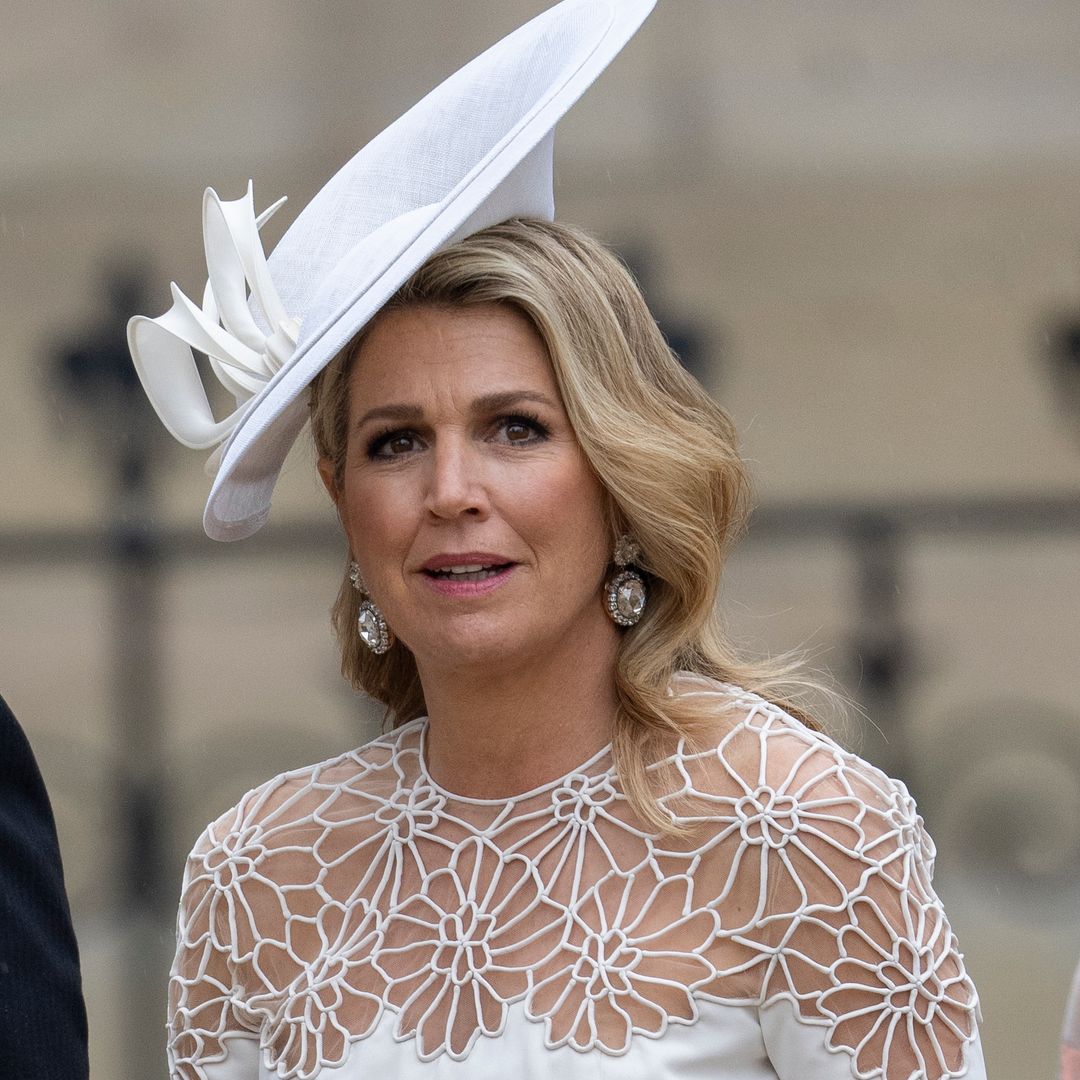 Queen Maxima wows in figure-flattering dress with the most incredible detailing