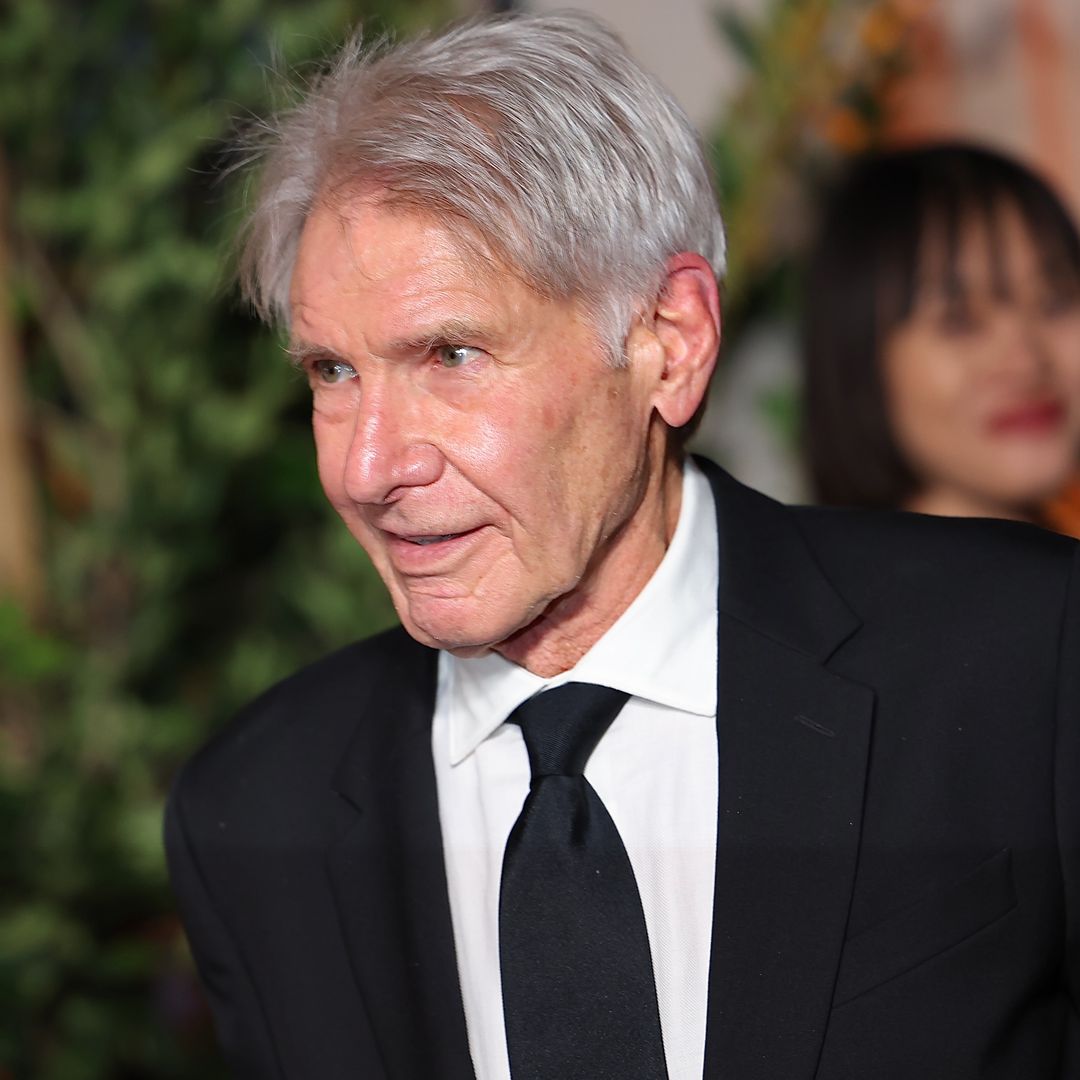 Harrison Ford's grandchildren make very rare social media appearance