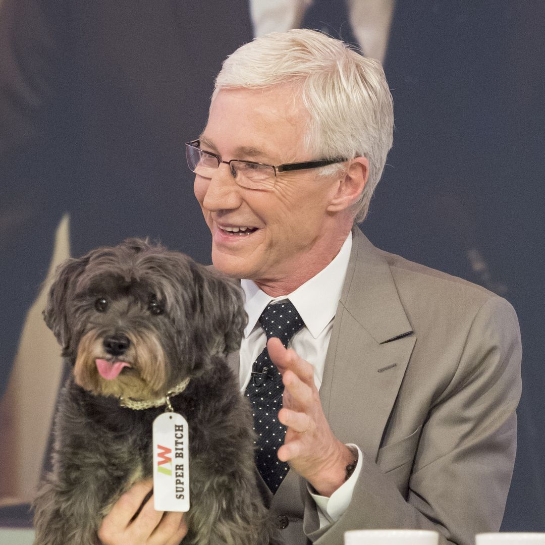 Paul O'Grady's beloved dogs who brought such joy to the star's life