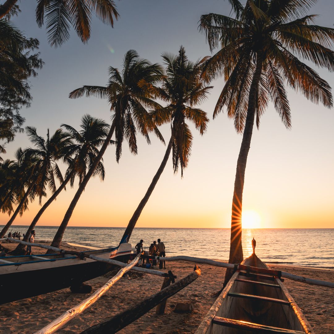 Ifaty, beach, pirogue and palm trees at sunset. South west Madagascar