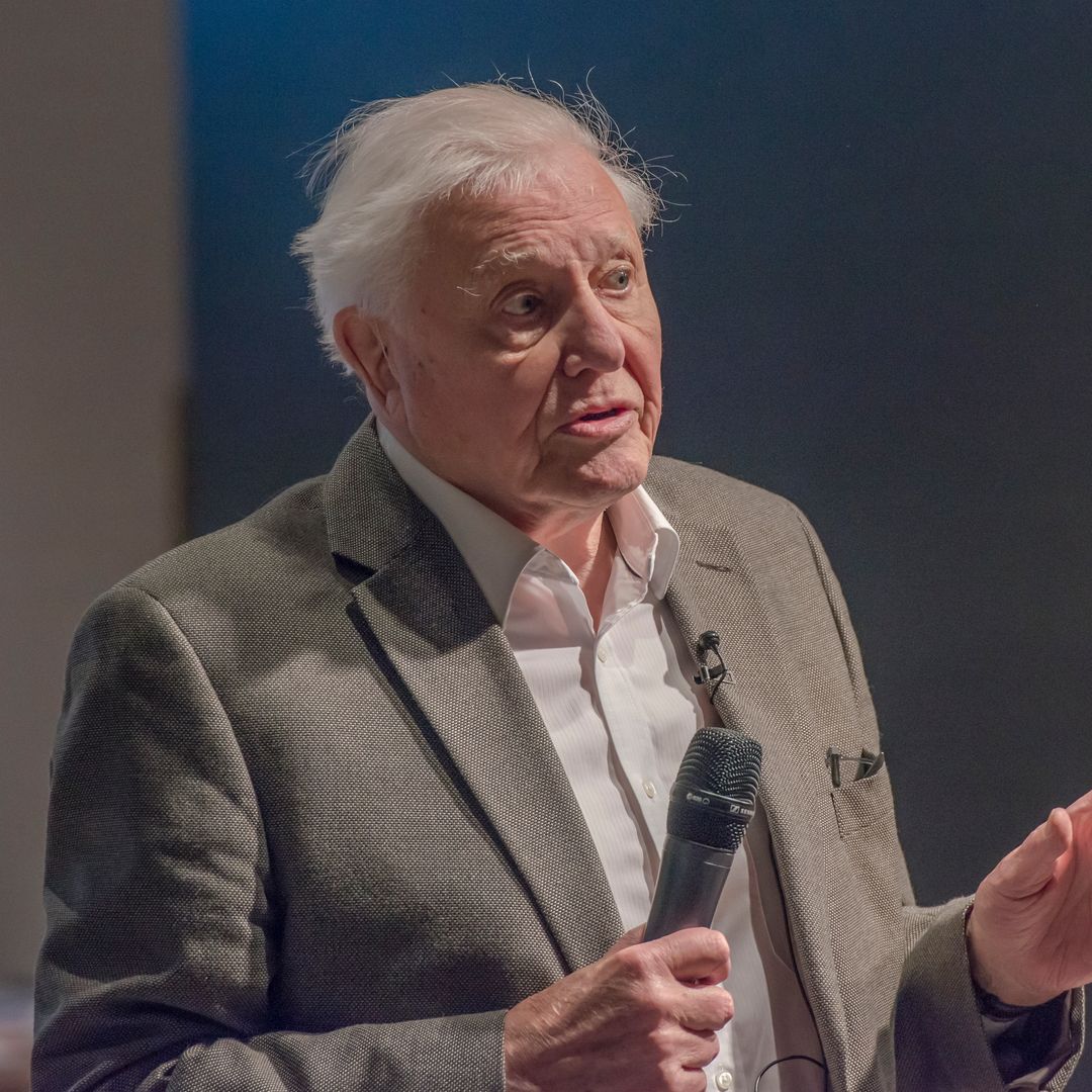 David Attenborough's unique childhood living conditions with padded cells