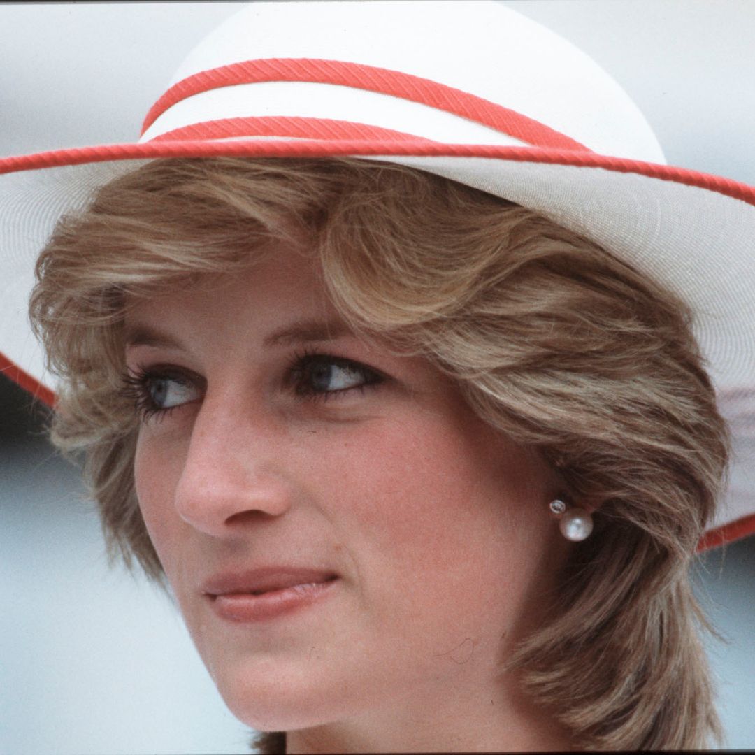 Charles Spencer delights with never-before-seen view of Princess Diana's childhood home