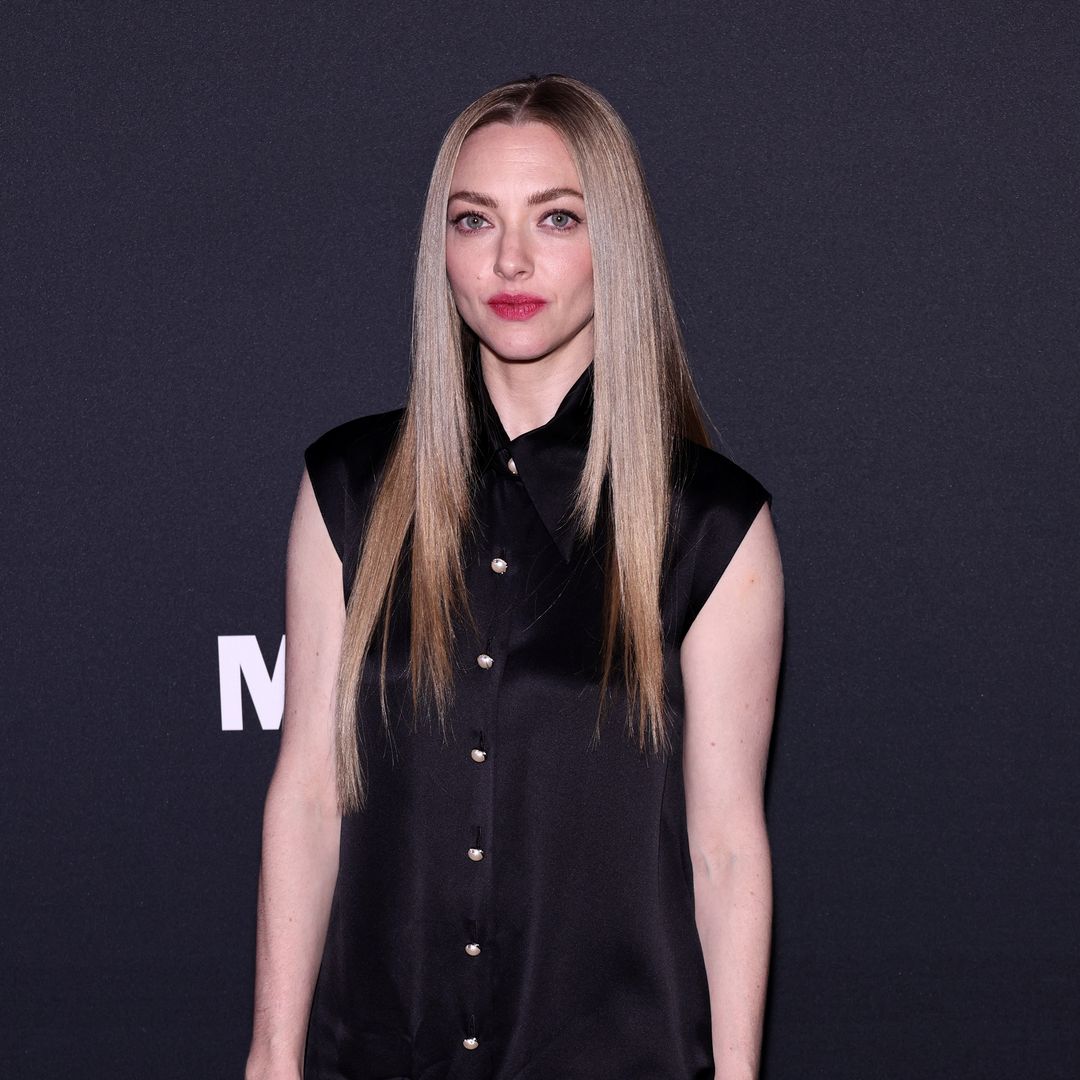 Amanda Seyfried leads the best dressed at the Museum of Modern Arts Benefit