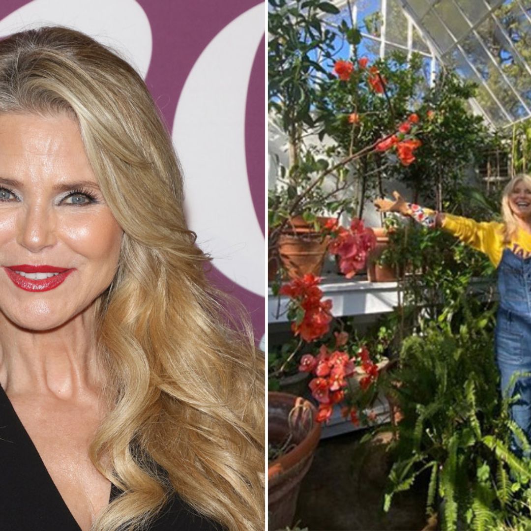 Christie Brinkley floors fans with tour of immaculate garden at $29.5million home - watch