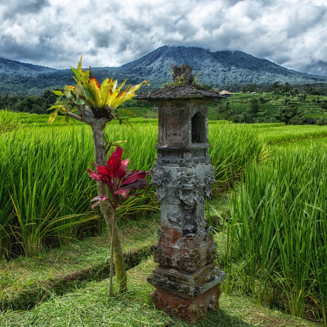 view of Bali mountains