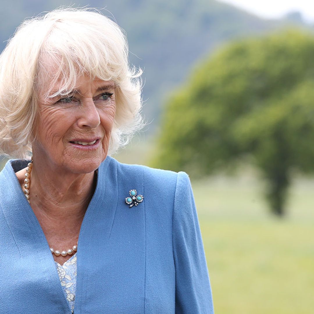 The Duchess of Cornwall heads to a farm and surprises in pearls AND high heels