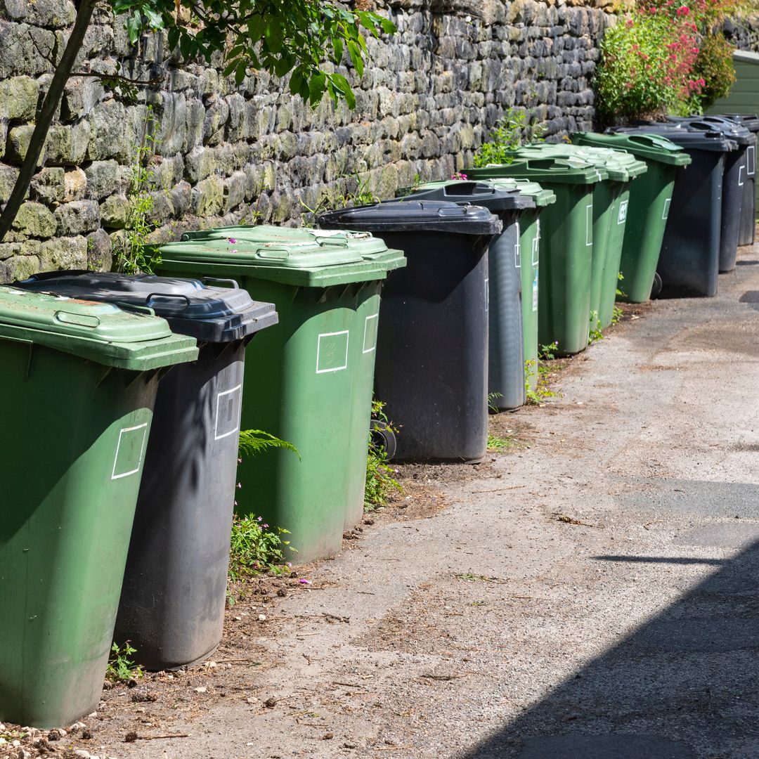 You could face £1,000 fine for this honest black bin mistake