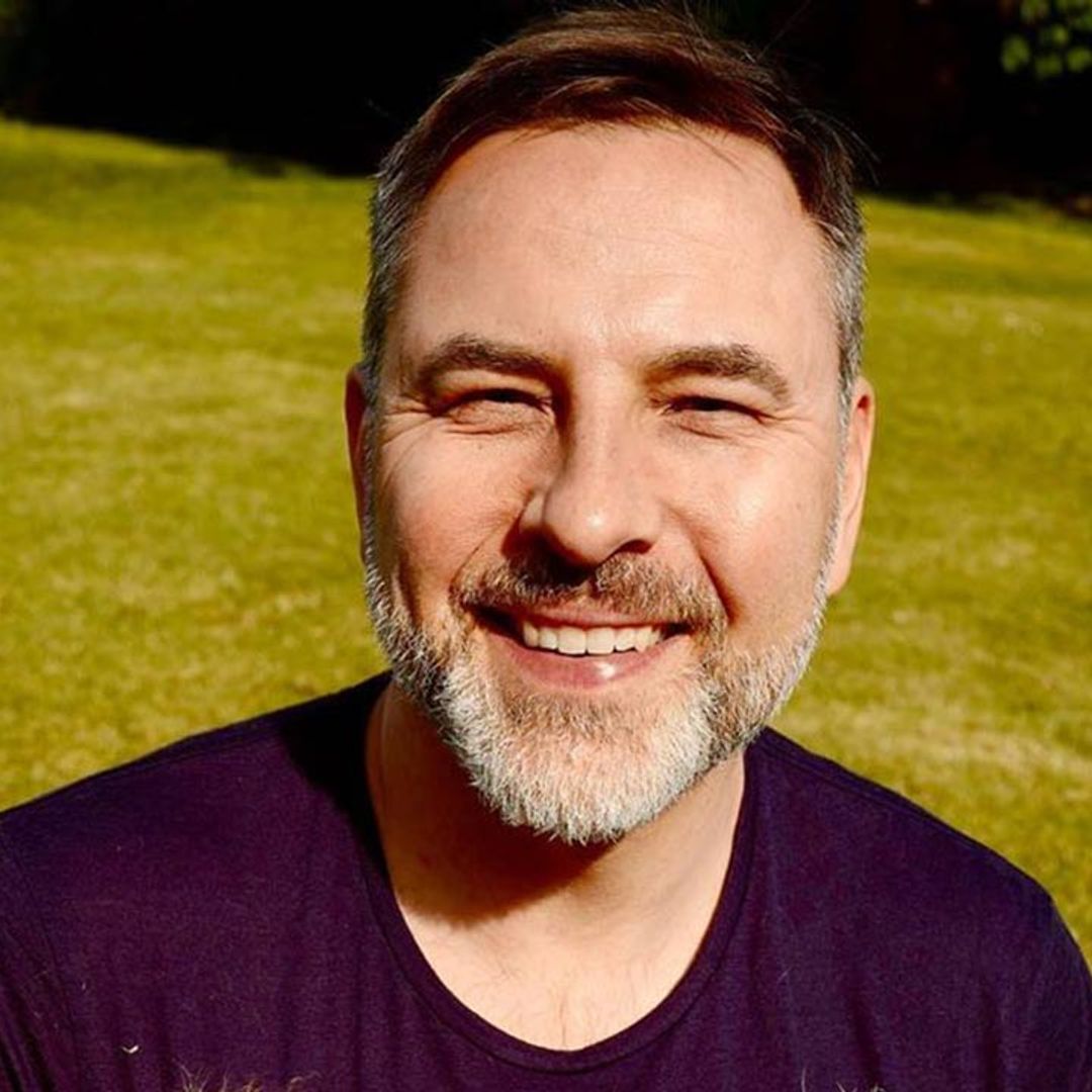 David Walliams looks besotted with his 'loves' in gorgeous photo