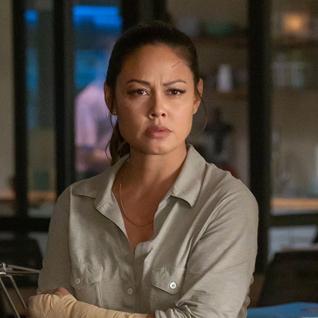 NCIS Hawai'i stars including Vanessa Lachey share support for Hawaii