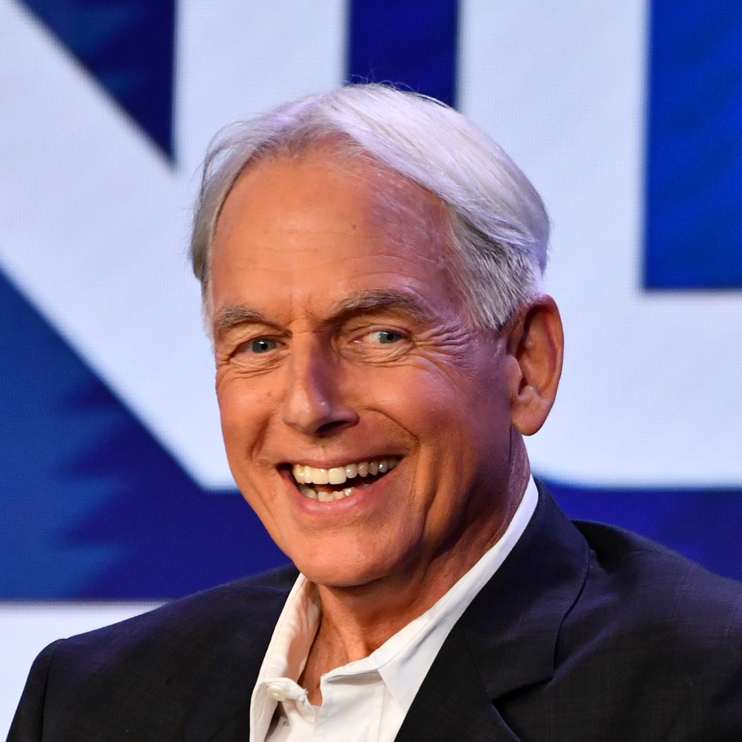 Exclusive: How Mark Harmon's wife Pam Dawber helped fellow NCIS star start career: 'We owe them'