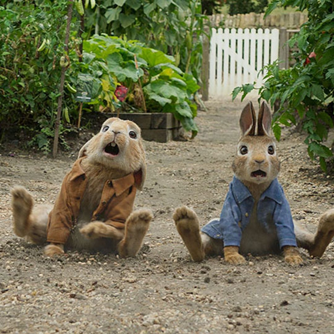Peter Rabbit film allergy argument divides opinion
