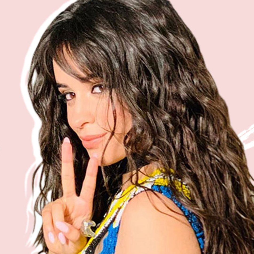 Camila Cabello shuts down body shamers: "Fat is normal"