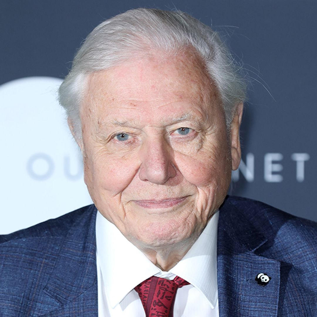 How Sir David Attenborough’s children followed in his footsteps