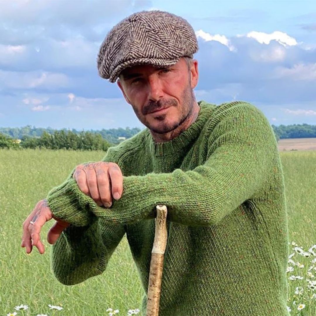 David Beckham makes homemade honey using new £500 garden accessory