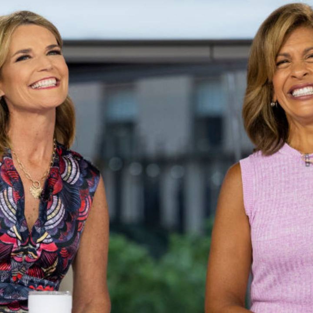 Hoda Kotb and Savannah Guthrie get animated during hilarious moment captured on Today