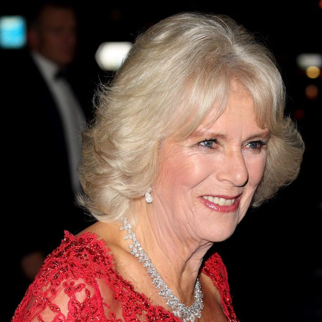 Duchess Camilla just wowed us in this velvet evening gown – and another quirky clutch bag