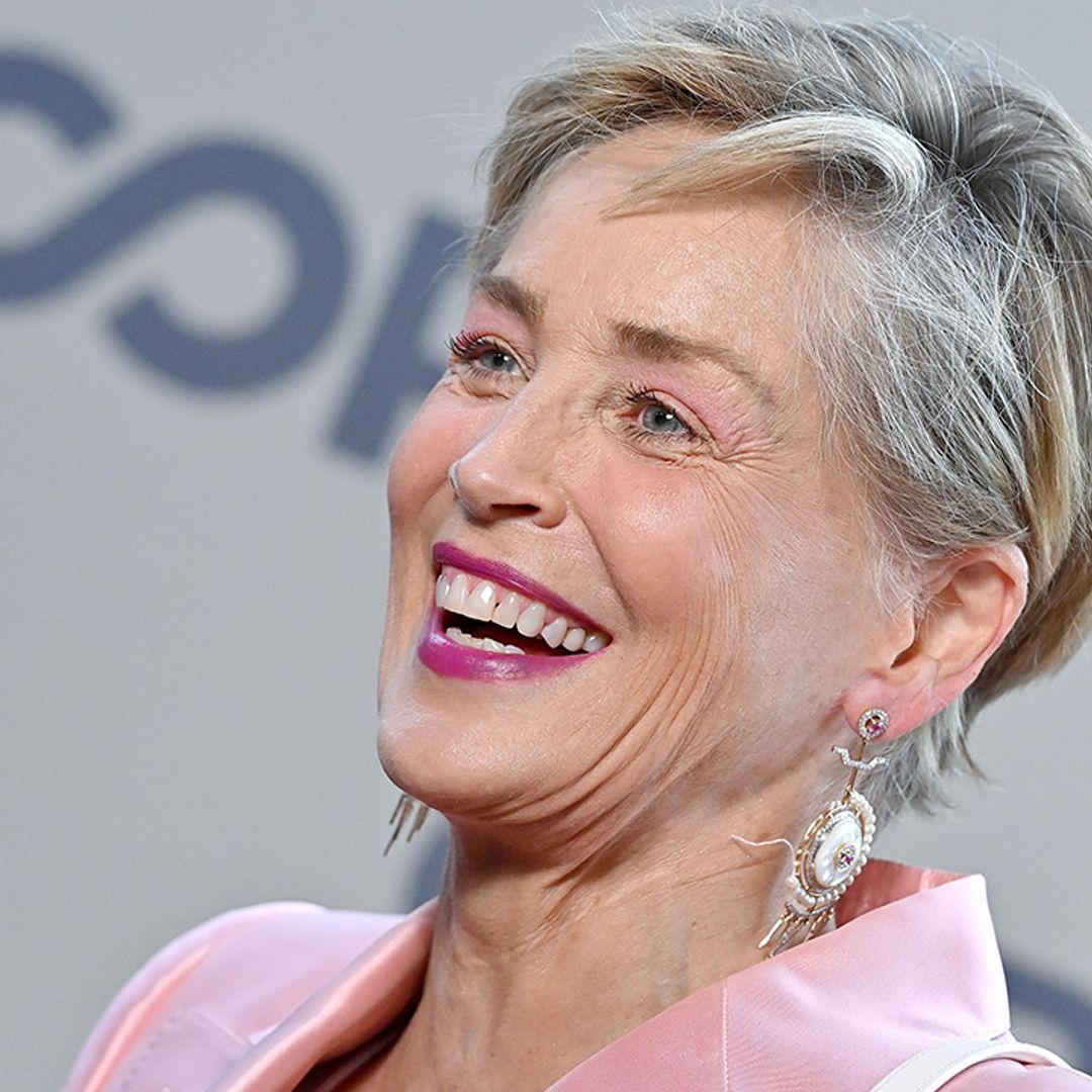 Sharon Stone delights fans with unexpected baby photo that gets fans talking