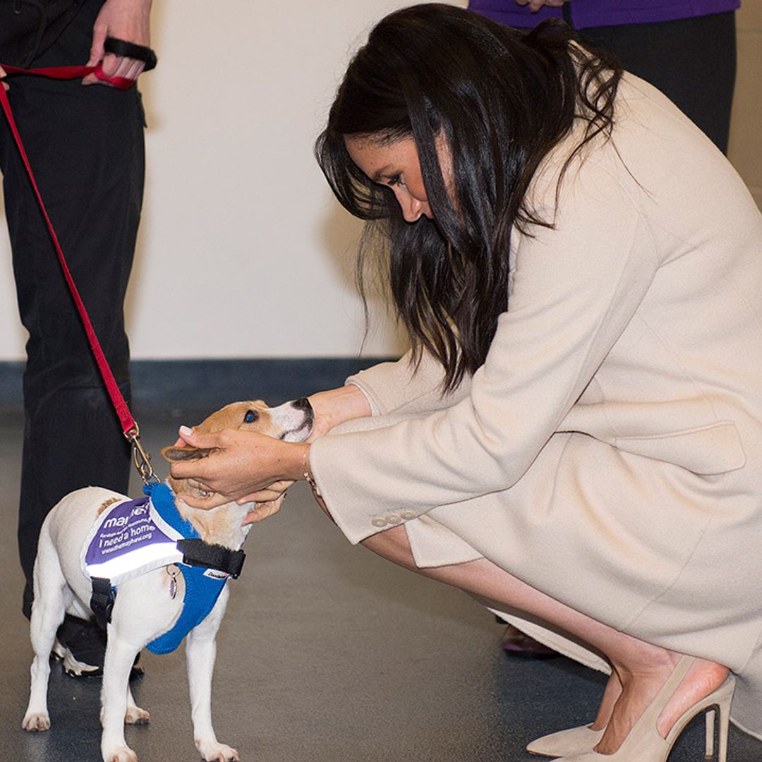 Meghan Markle reveals the 'life-changing joy' of adopting a pet