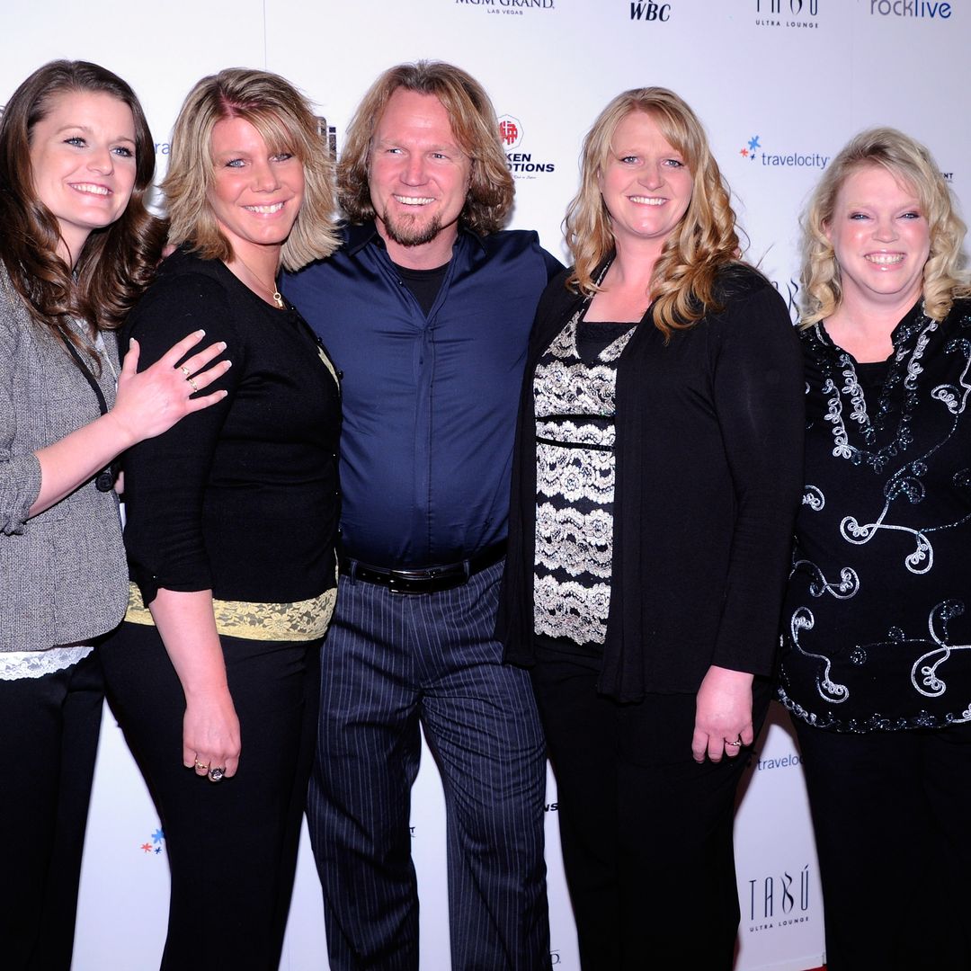 Inside the 4 Sister Wives' unconventional journey: from polygamy, 18 kids and  divorce