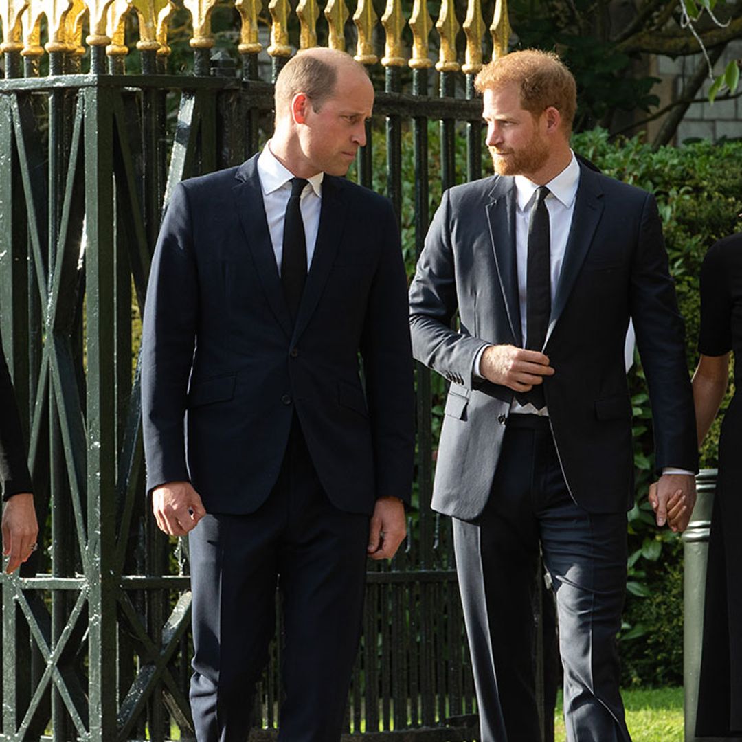 Prince Harry and Prince William made 'effort to heal rift' during family heartache