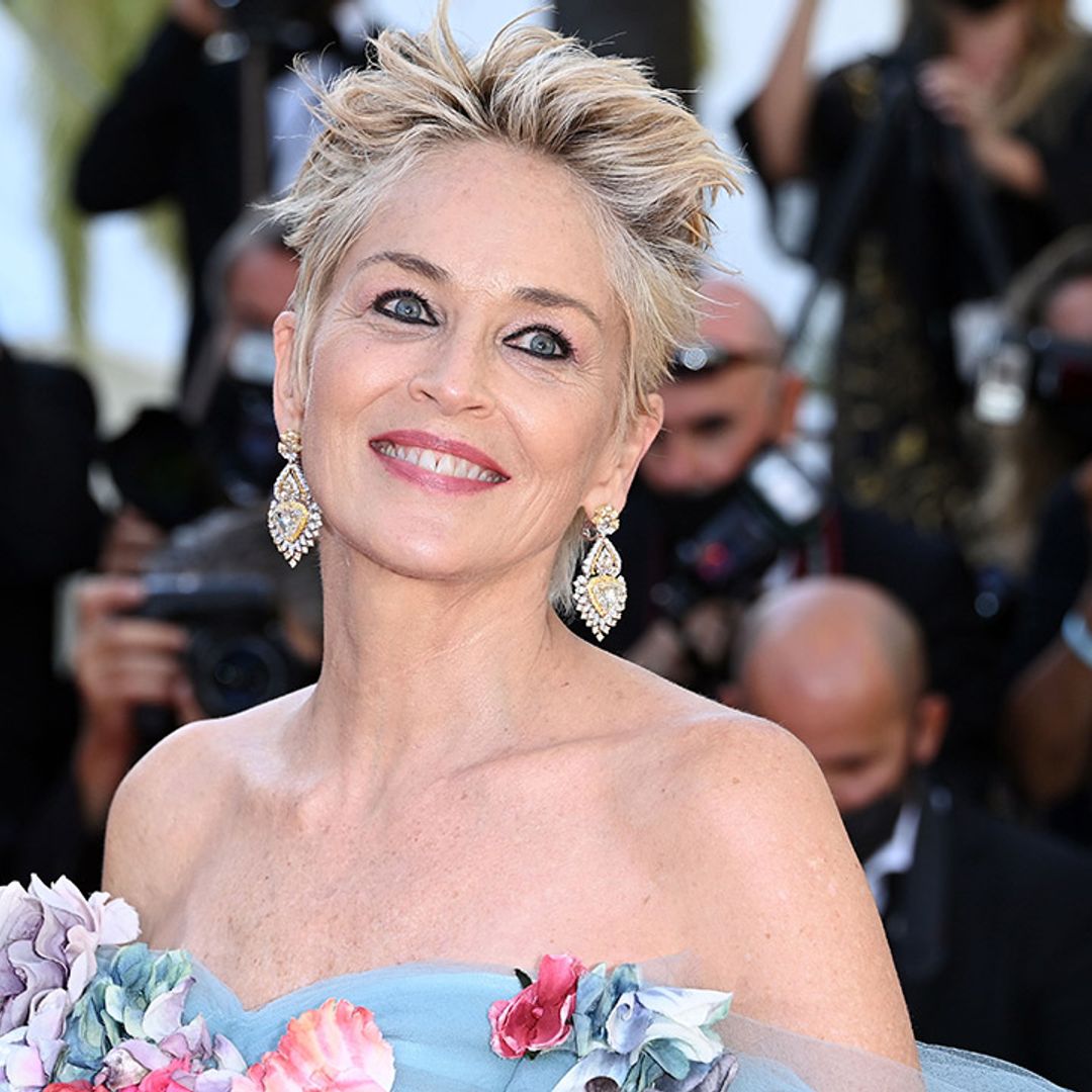Sharon Stone stuns in magnificent dress at Cannes Film Festival