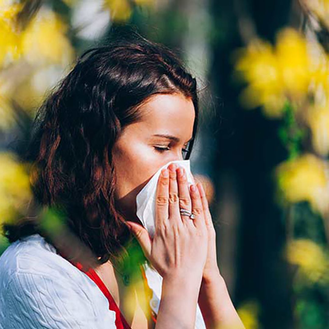 20 natural remedies for hay fever sufferers