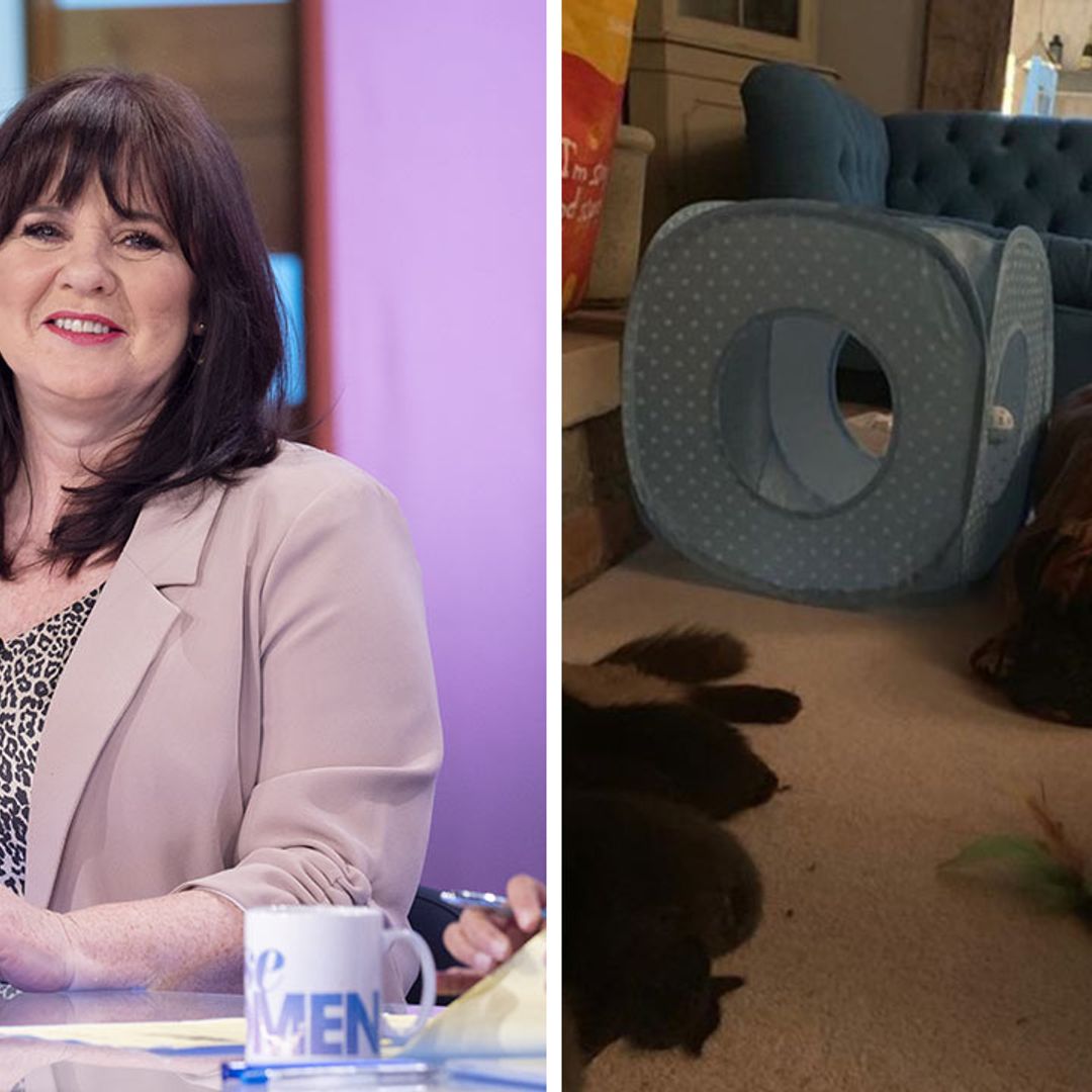 Coleen Nolan's cosy living room is all we need during rainy lockdown days
