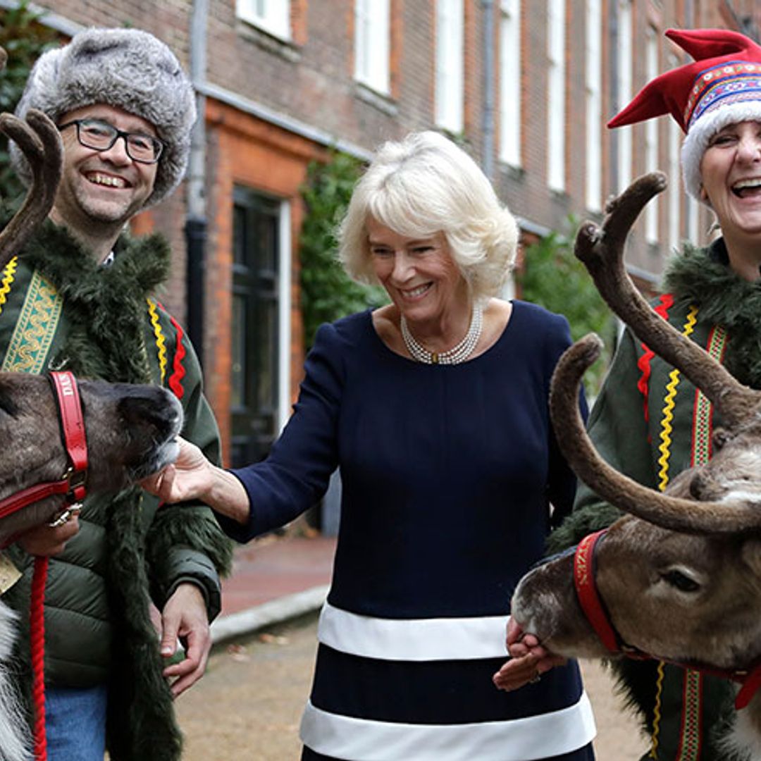 The Duchess of Cornwall borrows Santa's reindeer for festive fun