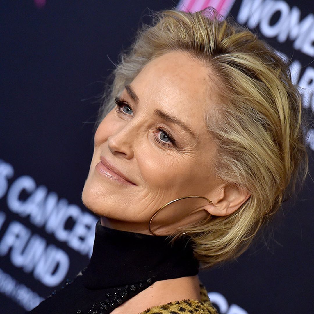 Sharon Stone joins major show for season two – get the details