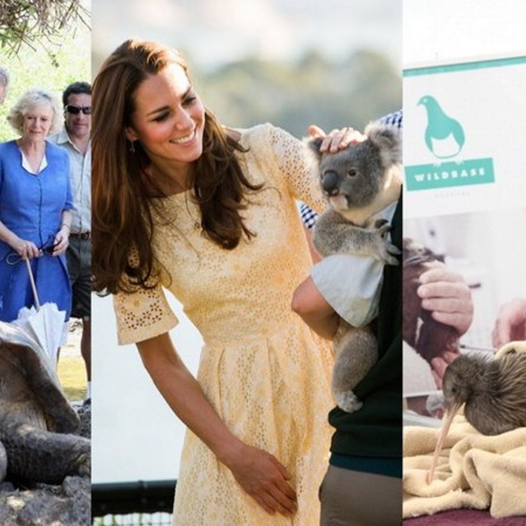 Kate Middleton and more royals go wild with animals