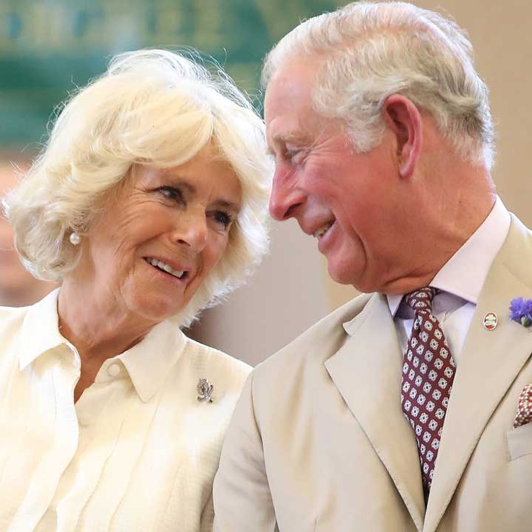 Prince Charles and Camilla share stunning picture on royal wedding anniversary - see it here