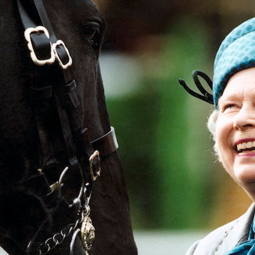 The Queen is so high-tech! Find out how she watches foals being born when she's away