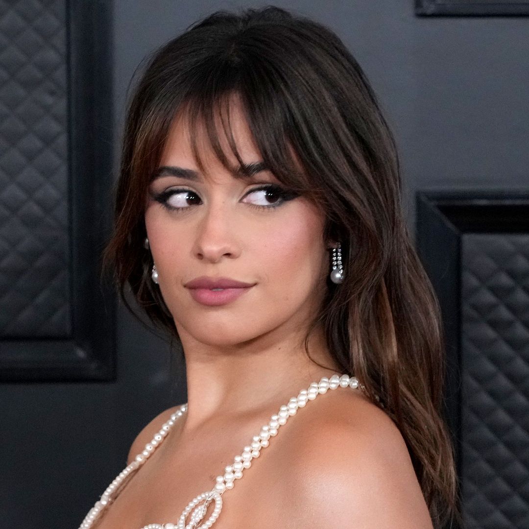 Camila Cabello seems to reference Shawn Mendes relationship status in stunning bikini selfie