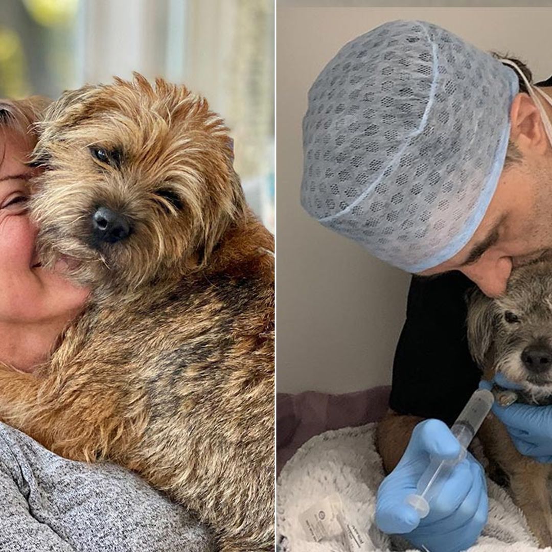 Lorraine Kelly shares relief after Supervet Noel Fitzpatrick's pet dog Keira recovers after accident