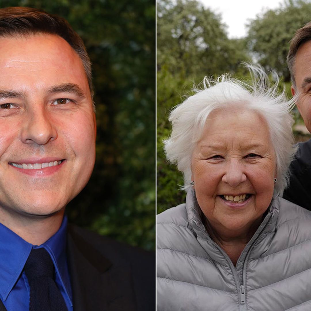 David Walliams sparks fan reaction with new reunion picture with lookalike mum