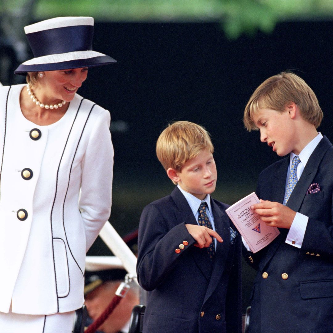 Prince William and Prince Harry: Different paths, but keeping their mother's legacy alive