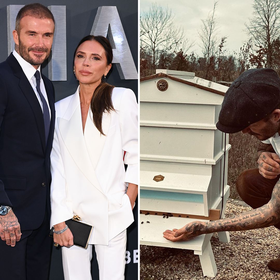 9 photos that prove David and Victoria Beckham's Cotswolds mansion is the new 'Beckingham Palace'