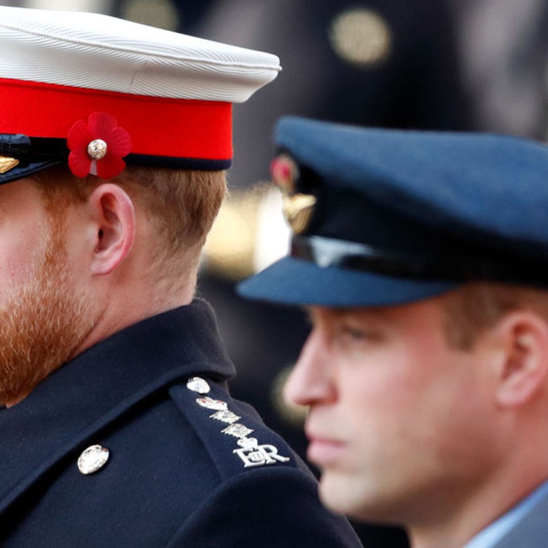 Prince Harry addresses relationship with Prince William: 'I would like to have my brother back'