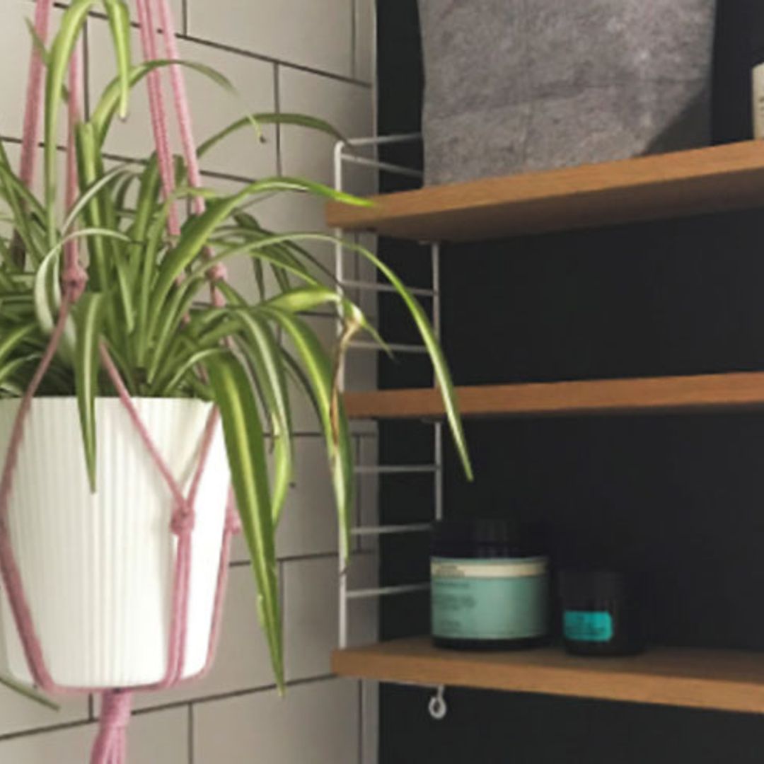 How to make a macramé hanging planter