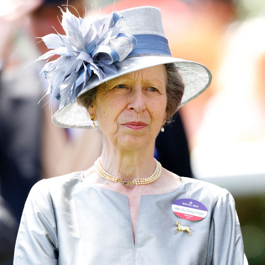 Princess Anne reappears after rare break from royal duties