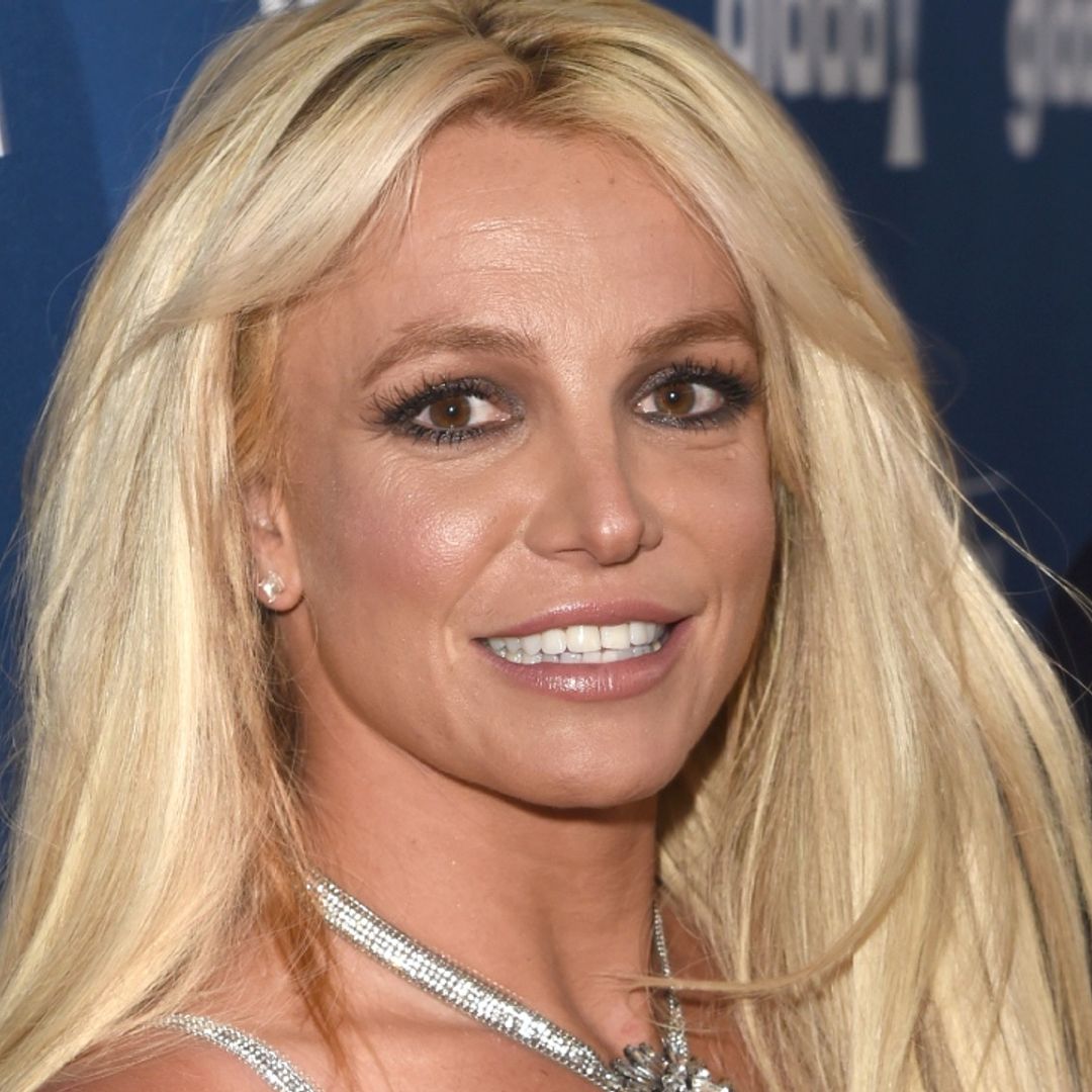 Britney Spears bares it all in photo that leaves fans confused