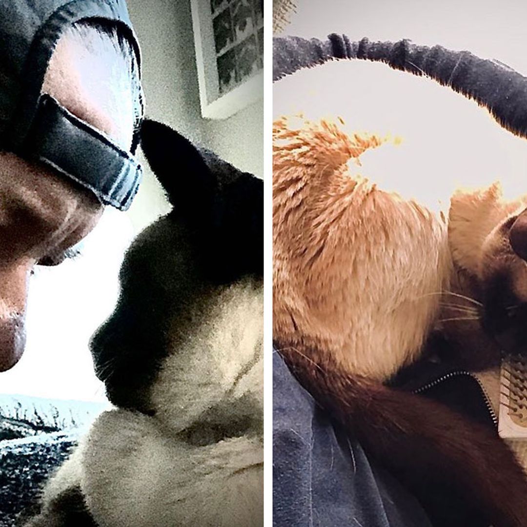 Ricky Gervais reveals beloved pet cat has died