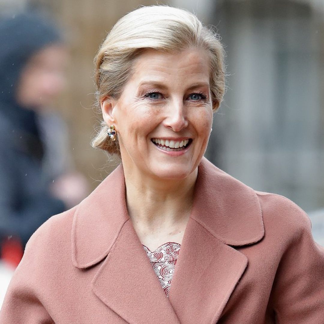 Countess Sophie stuns in pretty pink florals as she speaks at UN event