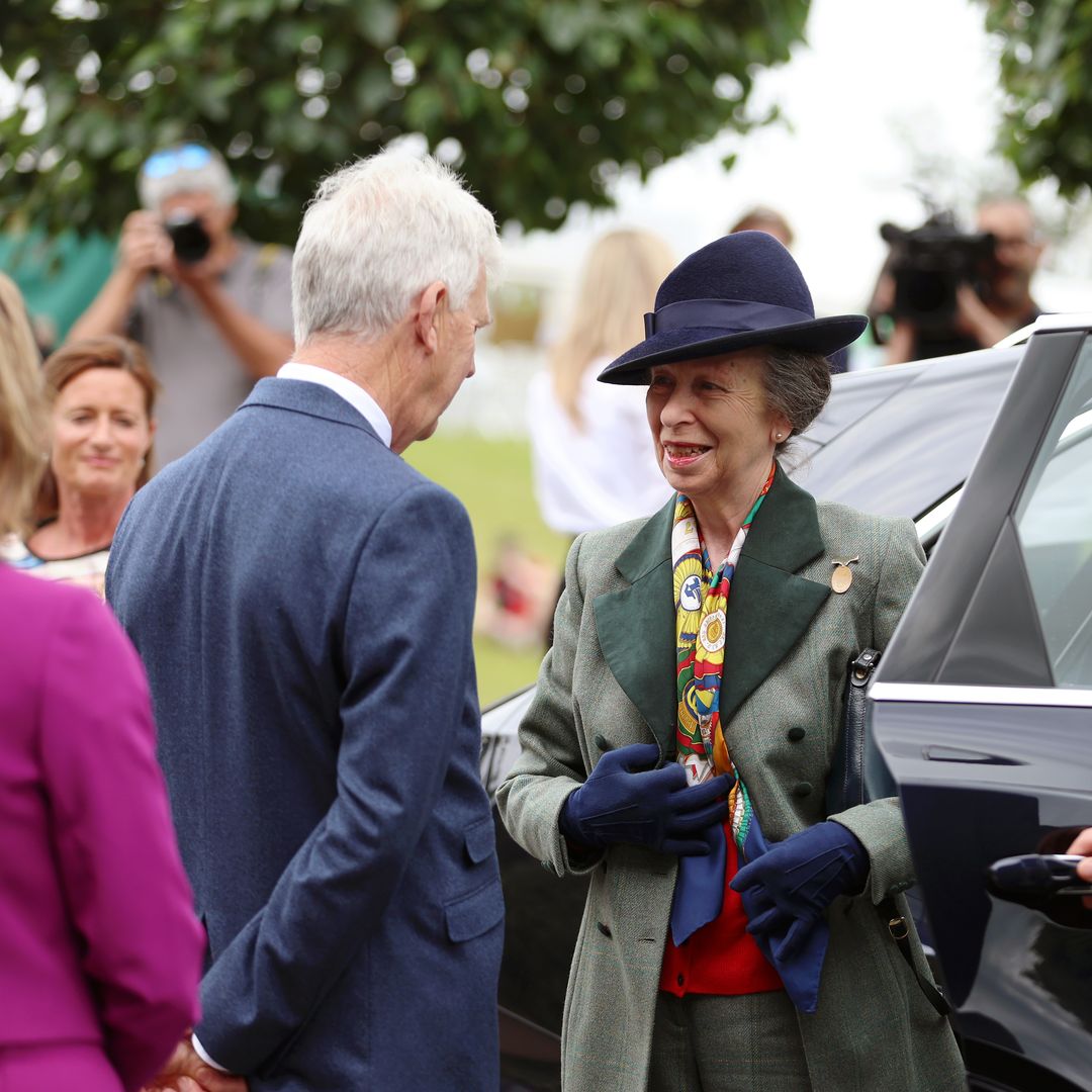 Princess Anne admits she 'can't remember a single thing' about horse-related incident