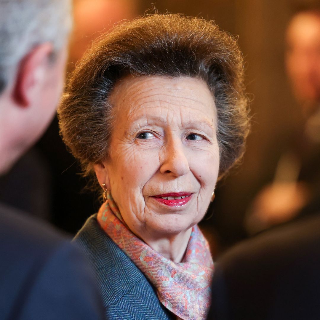 Princess Anne makes surprising visit following younger brother Andrew Mountbatten-Windsor's arrest